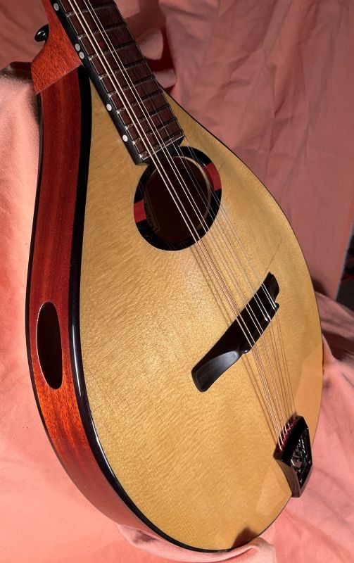 laughlin mahogany mandolin